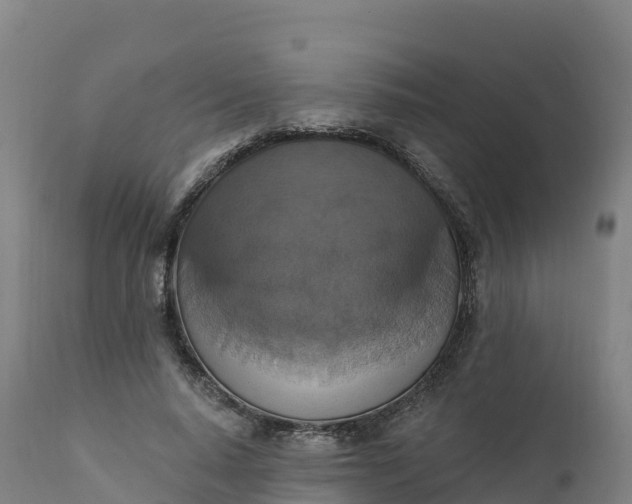 X0000112420640200908281839