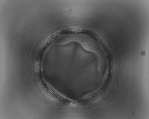 X0000112420641200908281839