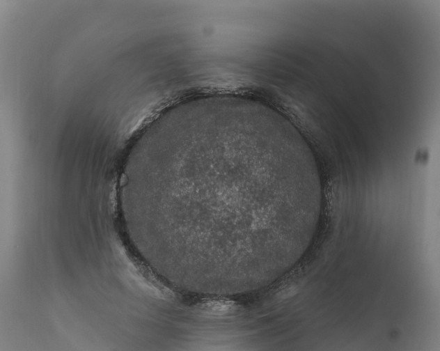 X0000112420642200908281839