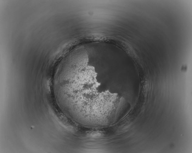 X0000112420643200908281839