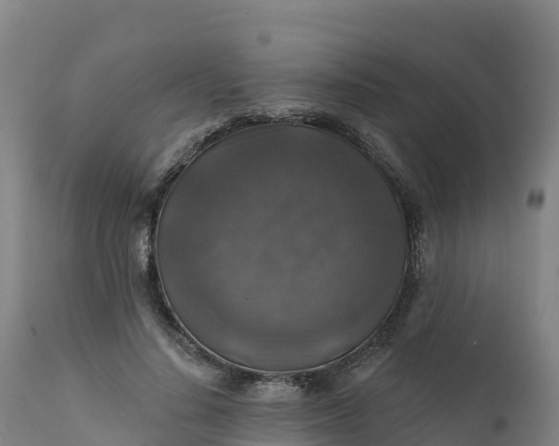 X0000112420644200908281839