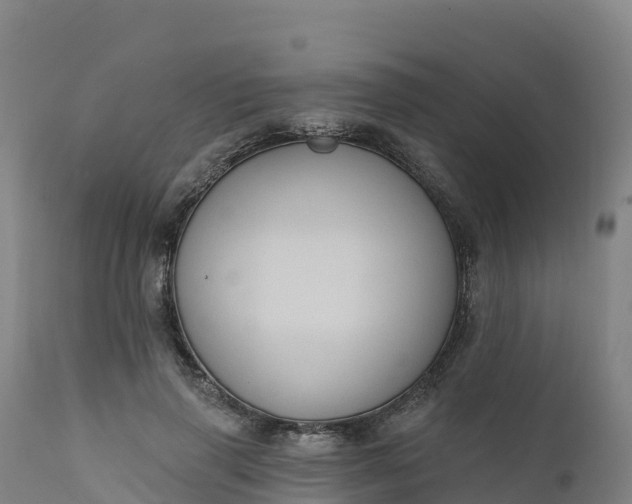 X0000112420645200908281839