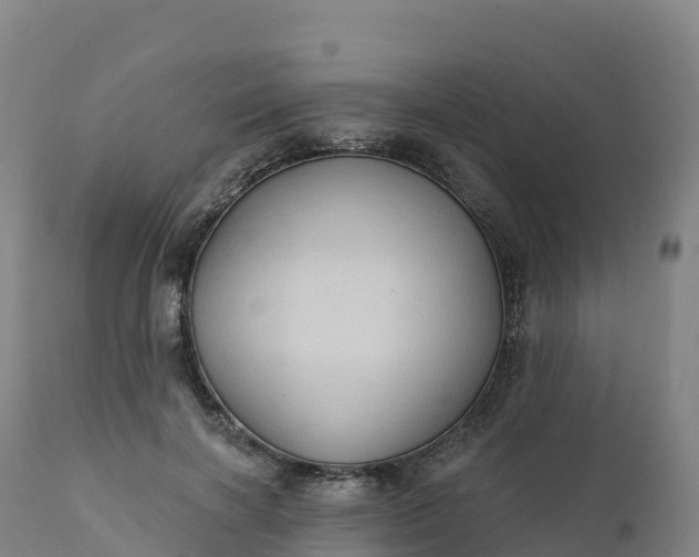 X0000112420646200908281839