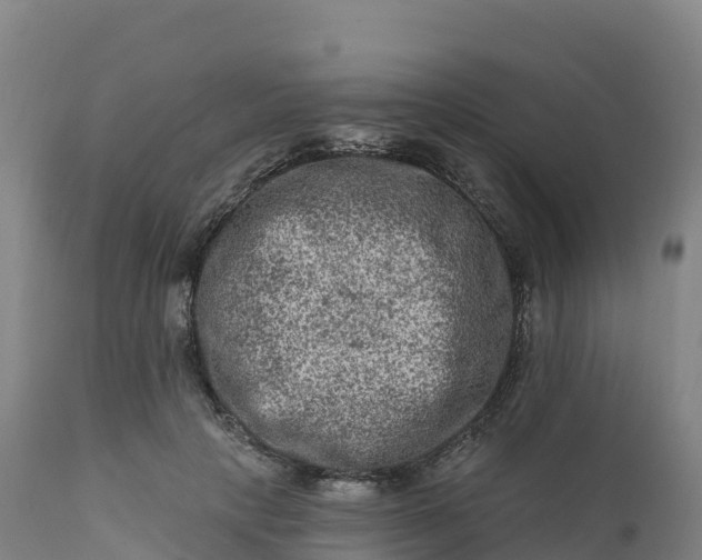 X0000112420649200908281840