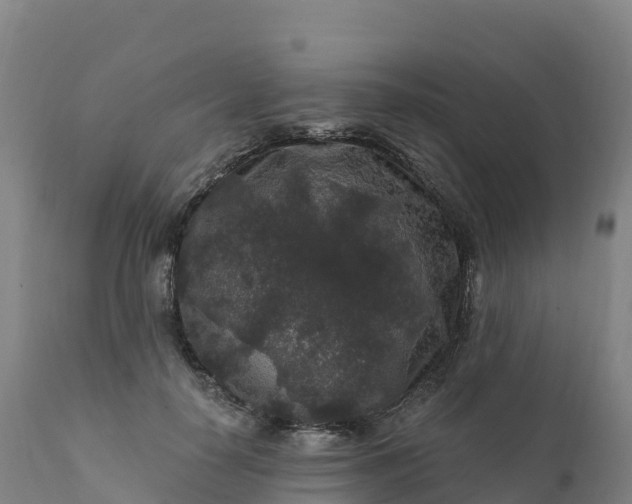 X0000112420650200908281840