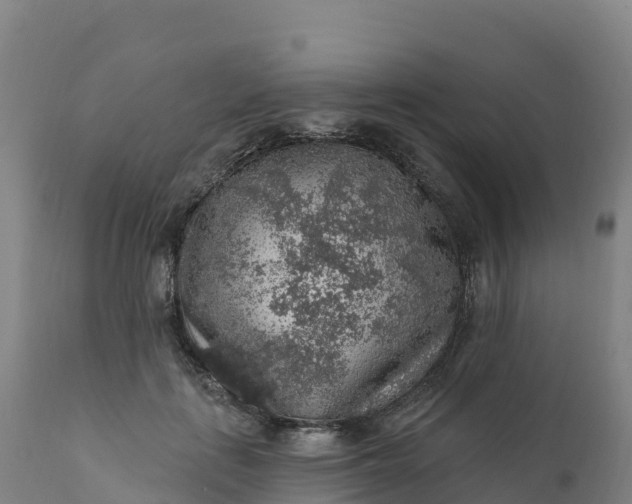 X0000112420651200908281840