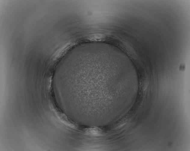 X0000112420652200908281840