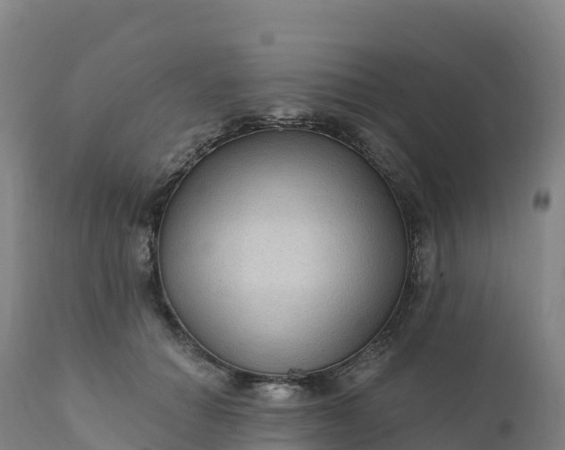 X0000112420654200908281840