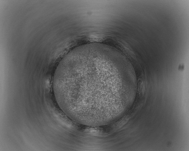 X0000112420655200908281840