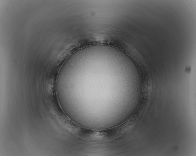 X0000112420656200908281840