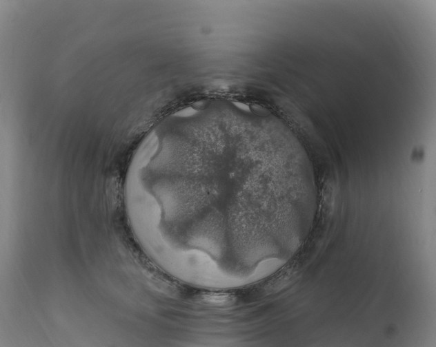 X0000112420659200908281840