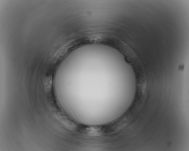 X0000112420660200908281840