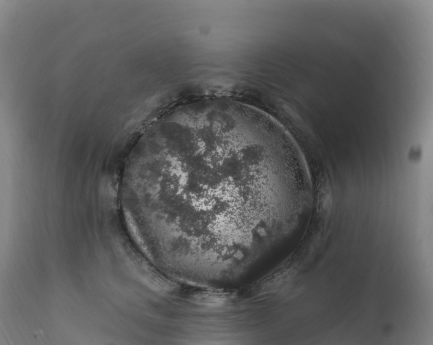 X0000112420661200908281840