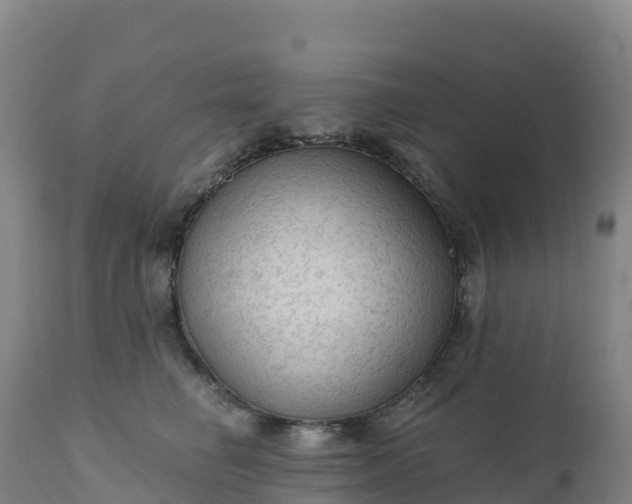 X0000112420662200908281840