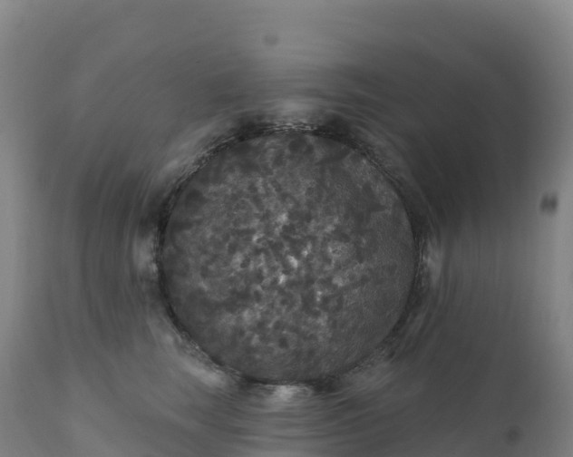 X0000112420663200908281840