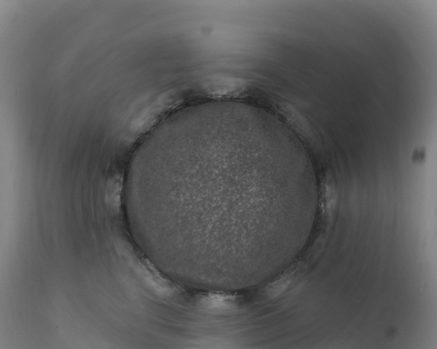 X0000112420664200908281840