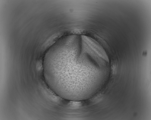 X0000112420665200908281840