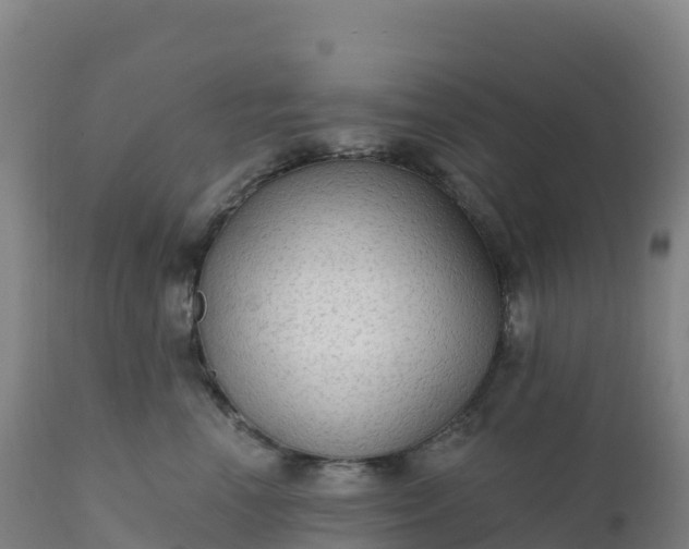 X0000112420666200908281840