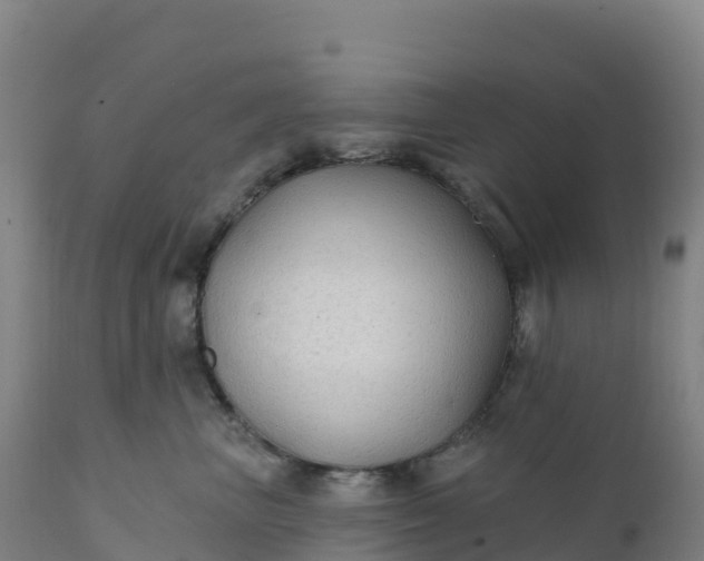 X0000112420667200908281840