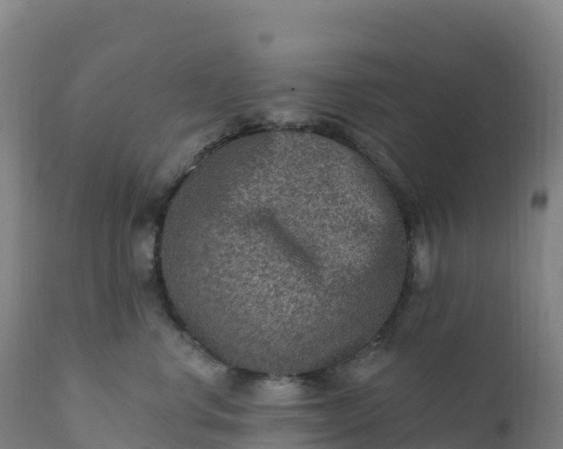 X0000112420668200908281840