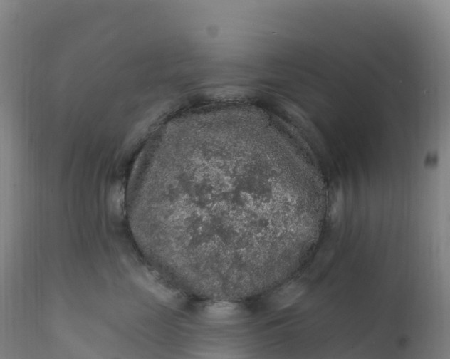 X0000112420669200908281840