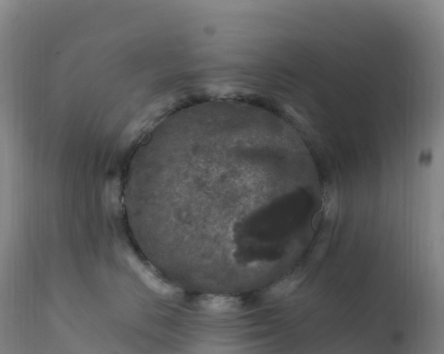 X0000112420670200908281840