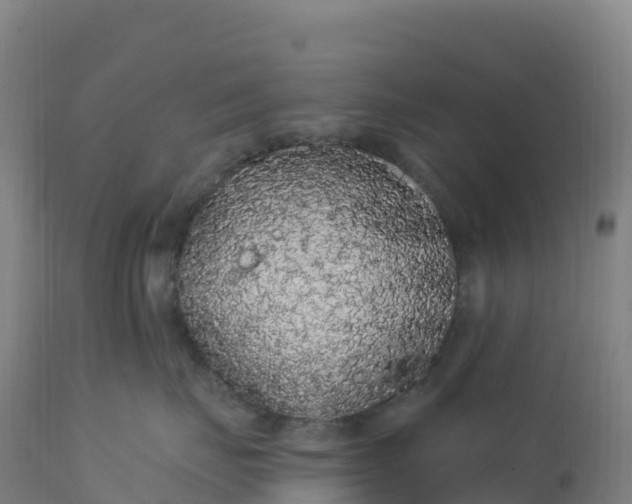 X0000112420671200908281840