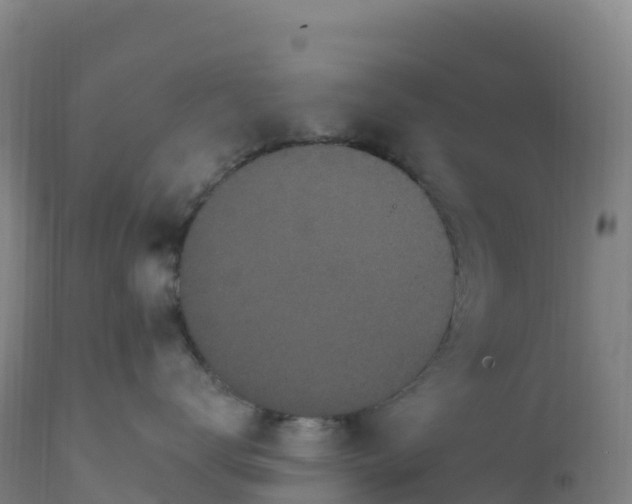 X0000112420672200908281840