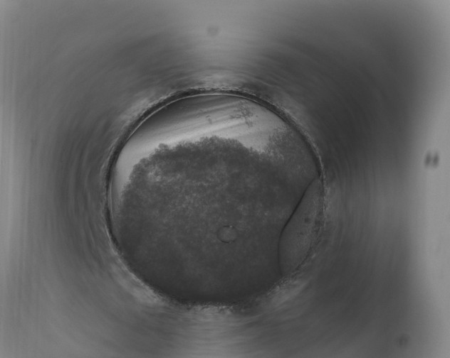 X0000112420673200908281839