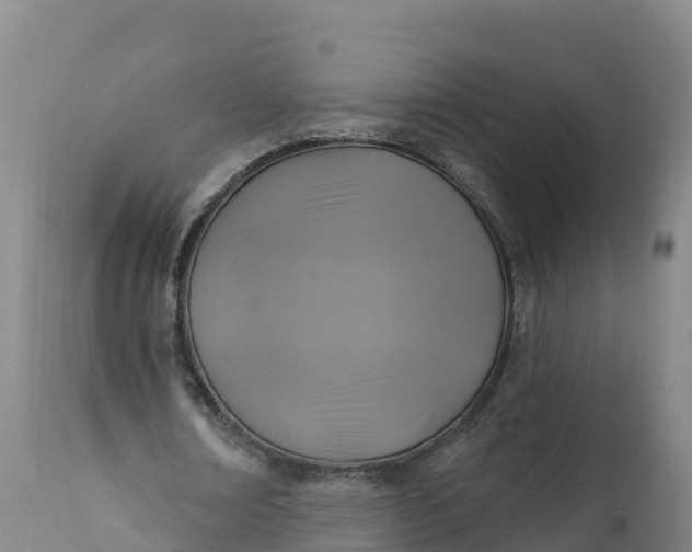 X0000112420674200908281839