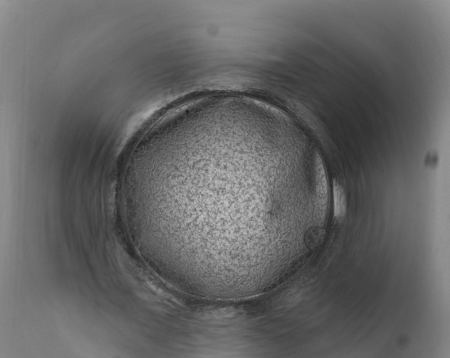 X0000112420675200908281839