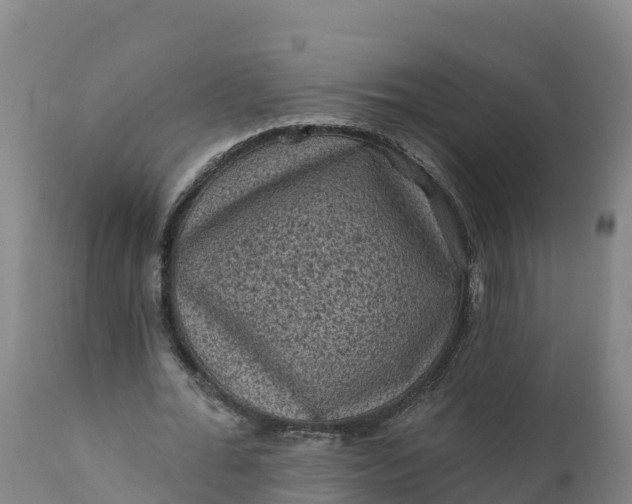 X0000112420676200908281839