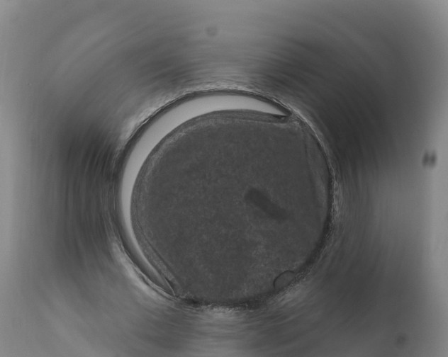 X0000112420677200908281839