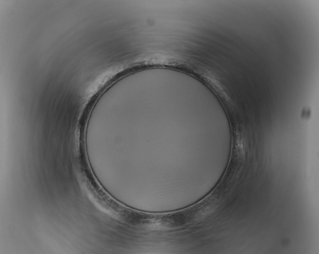 X0000112420678200908281839