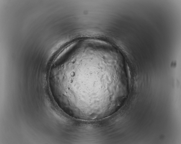 X0000112420679200908281839