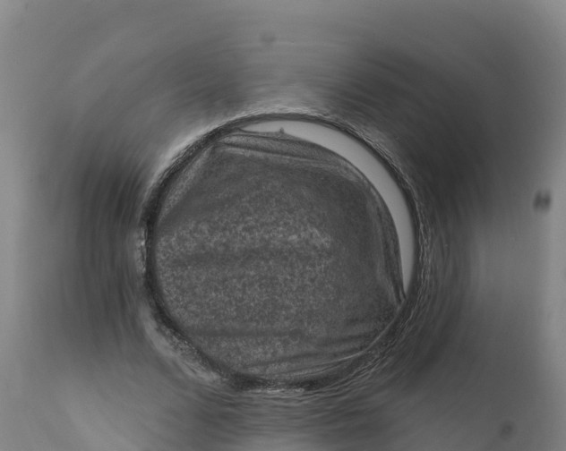 X0000112420680200908281839