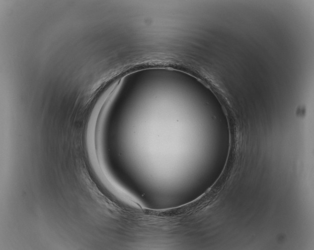 X0000112420681200908281839