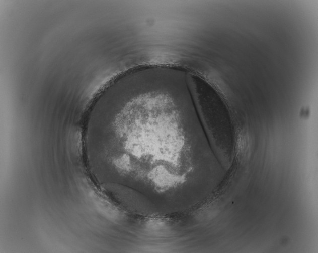 X0000112420684200908281839