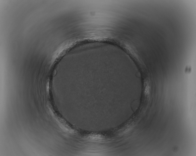 X0000112420685200908281839