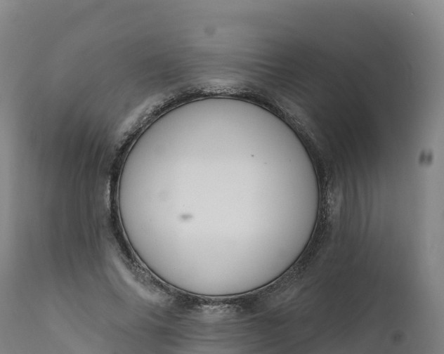 X0000112420686200908281839