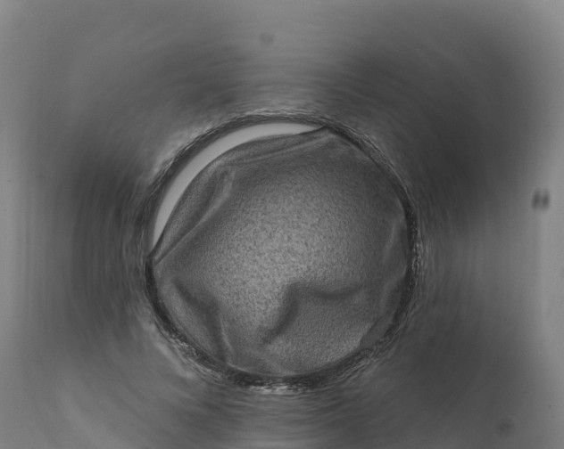 X0000112420688200908281839