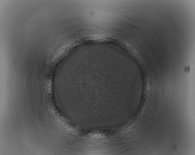 X0000112420689200908281839