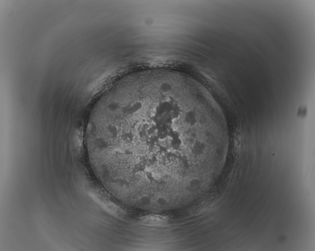 X0000112420691200908281839