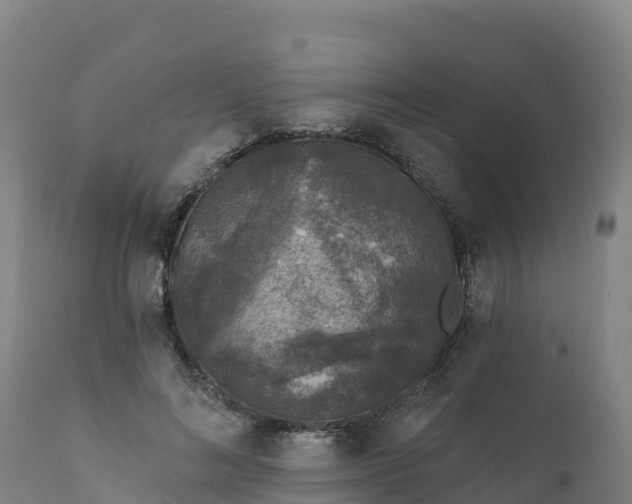 X0000112420692200908281839