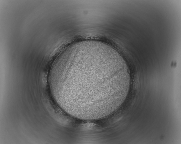 X0000112420695200908281839