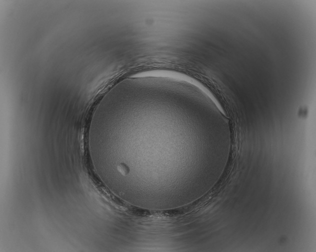 X0000112420696200908281839