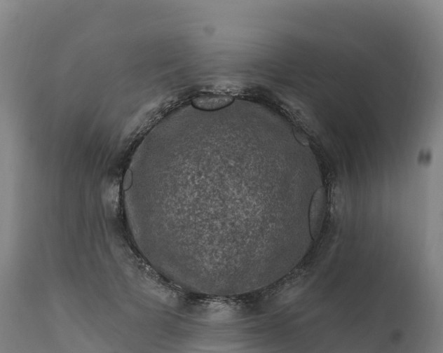 X0000112420697200908281839