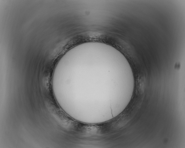 X0000112420698200908281839