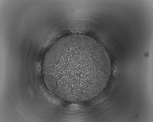 X0000112420699200908281839