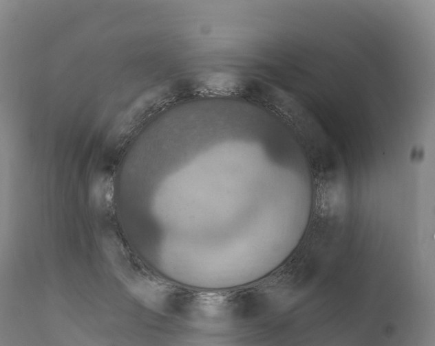 X0000112420701200908281839